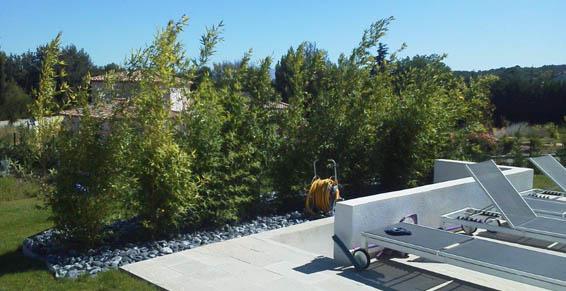 Jardinière avec bambou et minéral