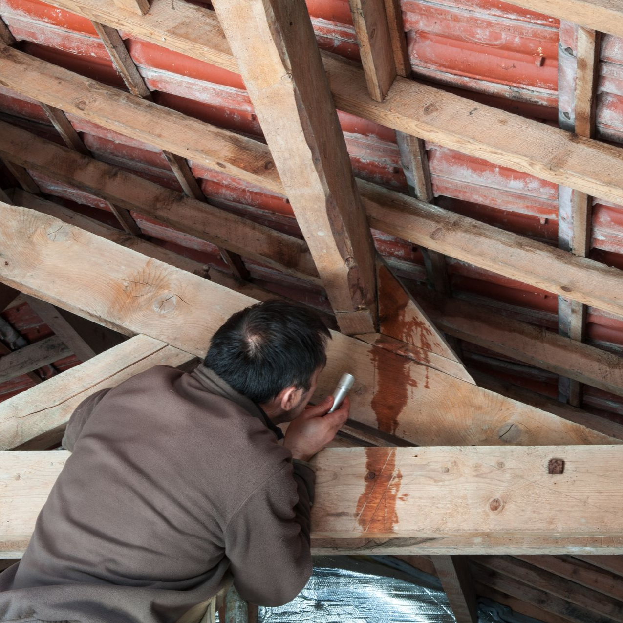 Une personne examine les poutres de charpente en bois pour détecter les dégâts d'eau.