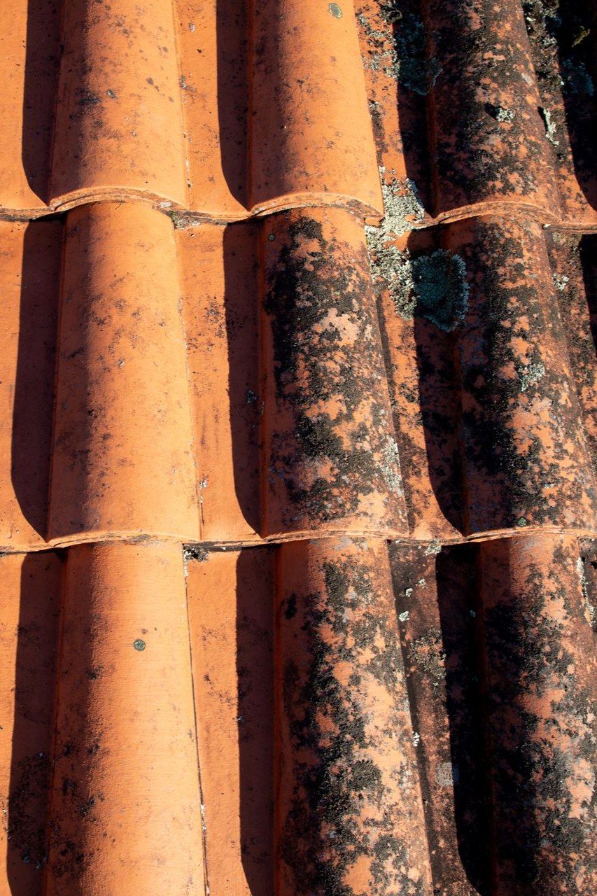 Tuiles de toit en céramique orange avec des moisissures et du lichen foncés.