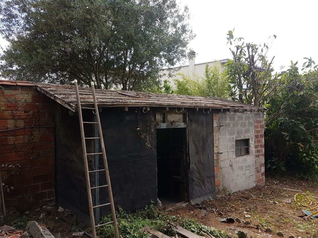 Un hangar délabré en briques et en béton, avec une échelle appuyée contre lui, entouré d'une végétation envahissante.