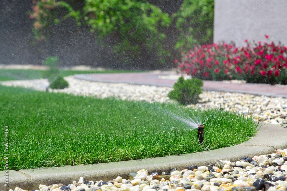 Un arroseur de pelouse pulvérise de l'eau sur une pelouse verte luxuriante.