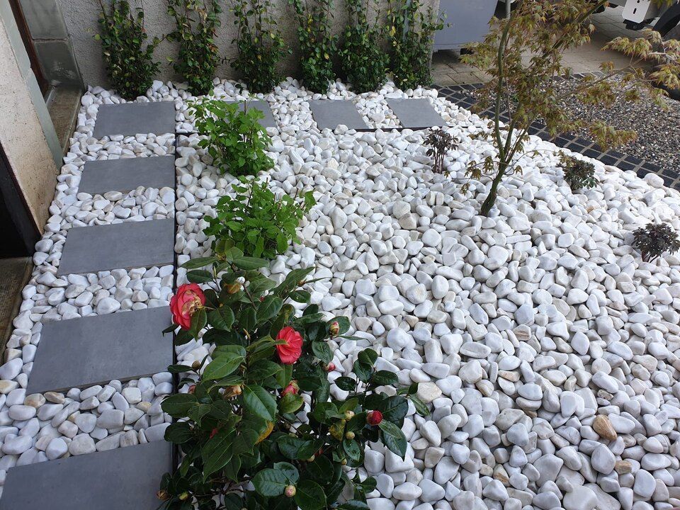 Un jardin rempli de rochers blancs et de fleurs.