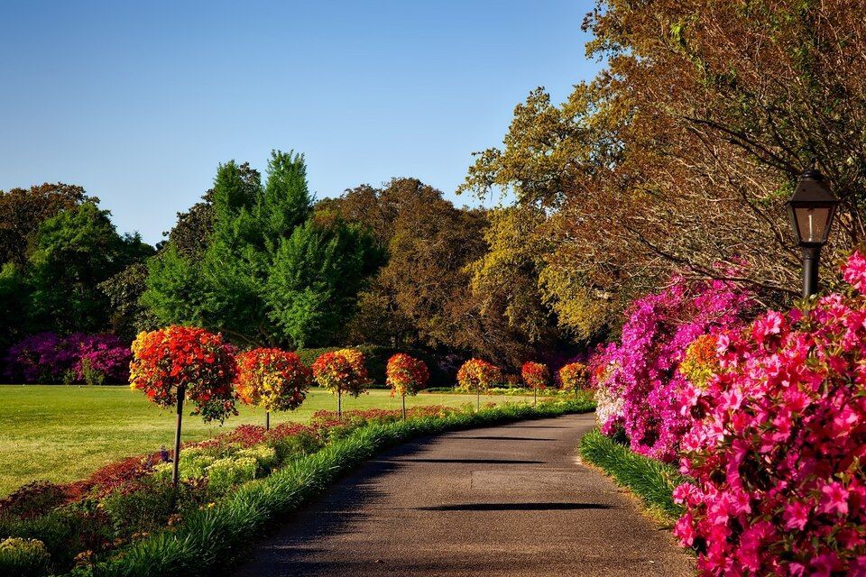 Un chemin dans un parc avec des fleurs et des arbres des deux côtés