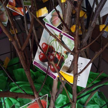 Un árbol con un montón de cartas pegadas a él.