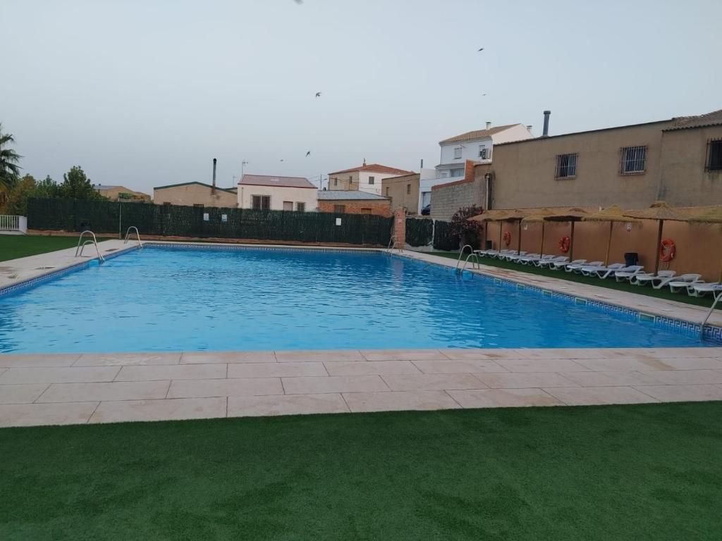 Piscina con césped circundante y edificios al fondo bajo un cielo nublado.