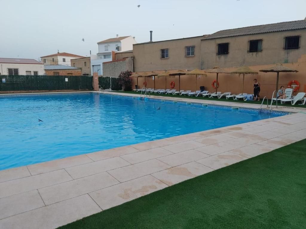 Piscina con agua azul, borde de azulejos beige, césped verde y tumbonas. Edificios al fondo.