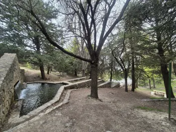 Una fuente de agua rodeada de piedras con escalones en una zona boscosa y árboles al fondo.