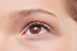 Primer plano de un ojo marrón con pestañas largas y tonos de piel claros.