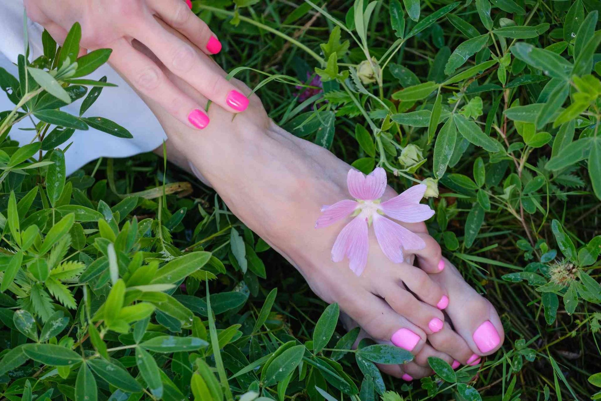 Pies descalzos con uñas de los pies de color rosa brillante y una flor rosa sobre la hierba.