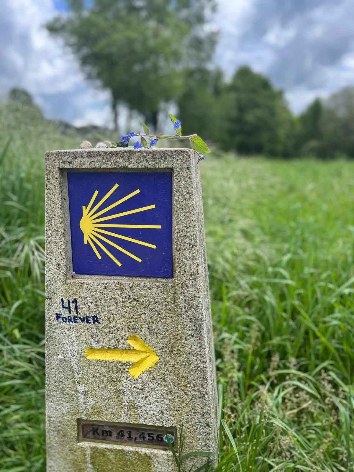 Una señal de piedra con una flecha amarilla que apunta hacia la derecha en un campo.