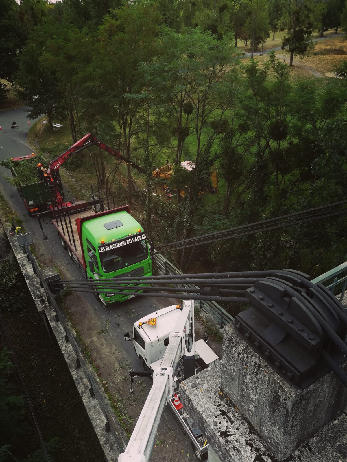 Nos équipements : élagage