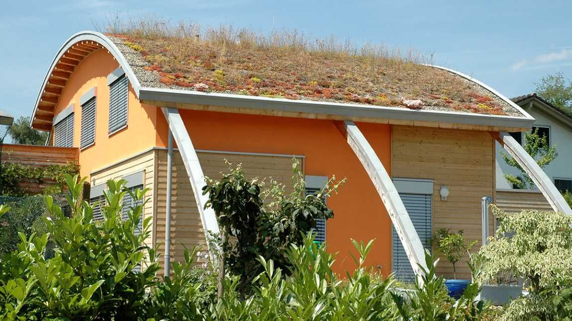 Dachbegrünung, Foto der Josef Frefel GmbH