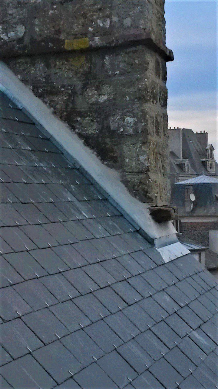 Remplacement  d'ardoises naturelles