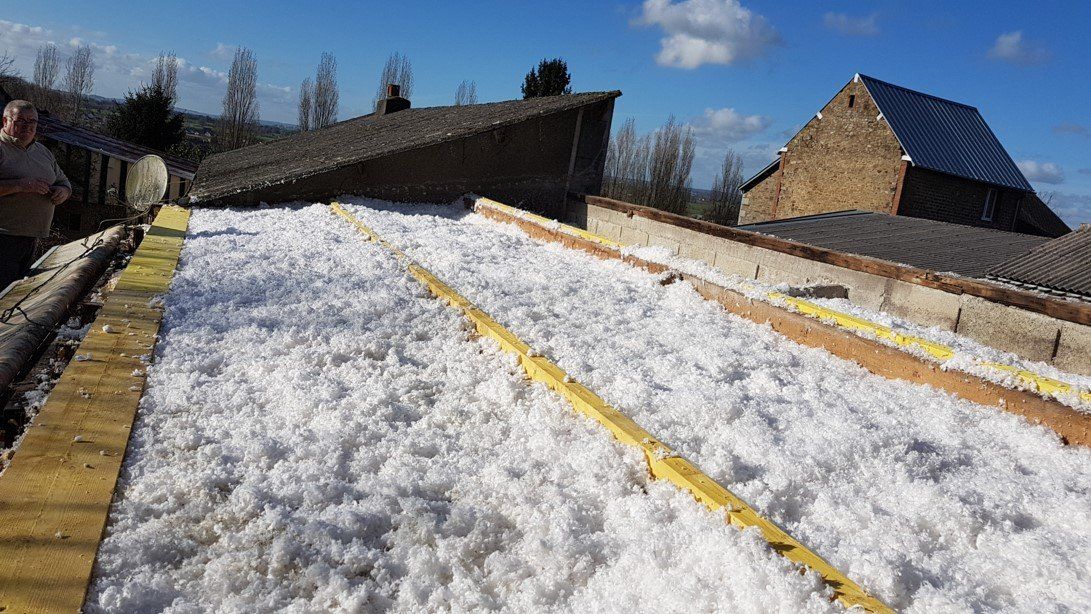 Rénovation de charpente