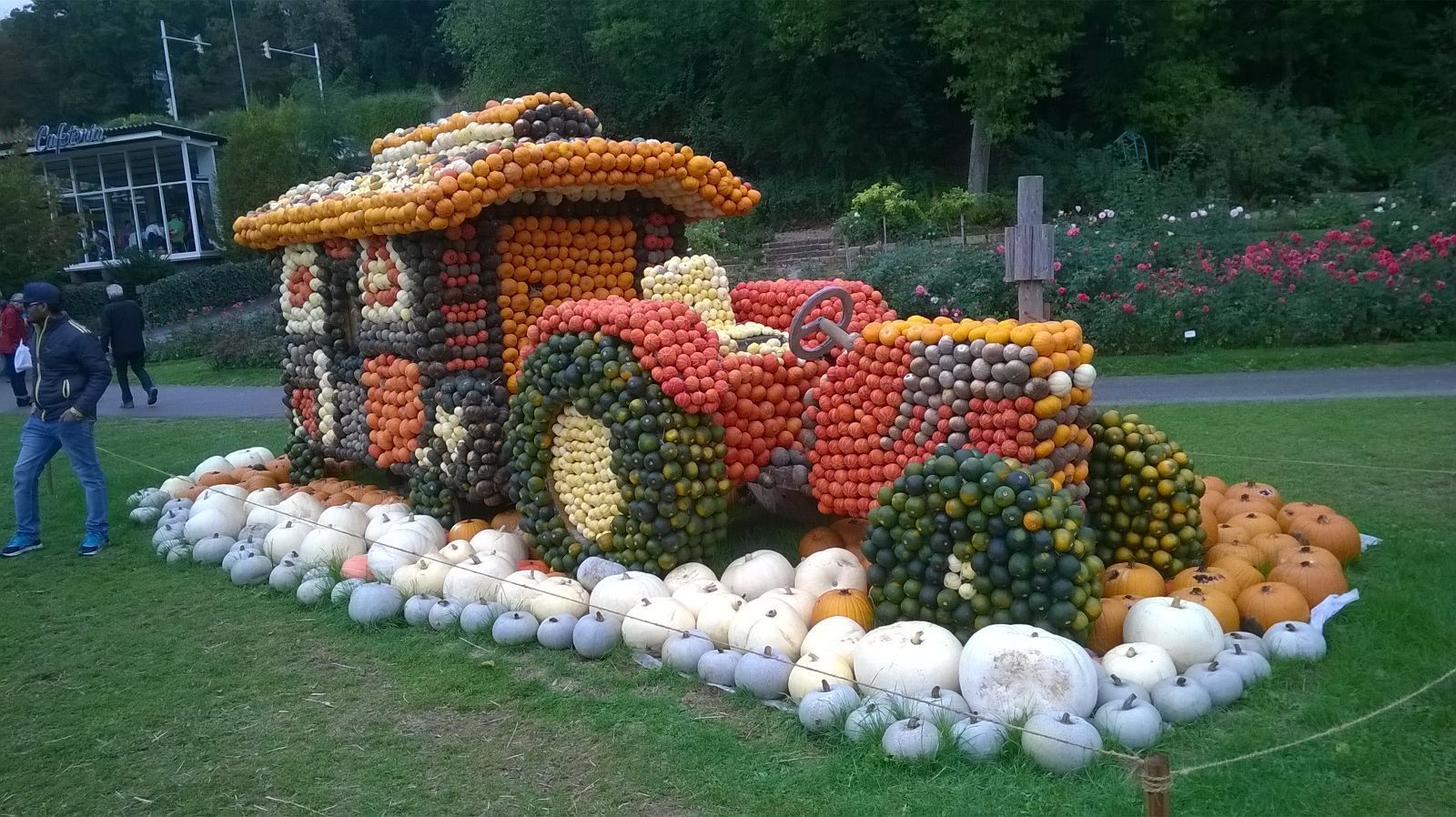 Traktormodell aus bunten Kürbissen Traktormodell aus bunten Kürbissen
