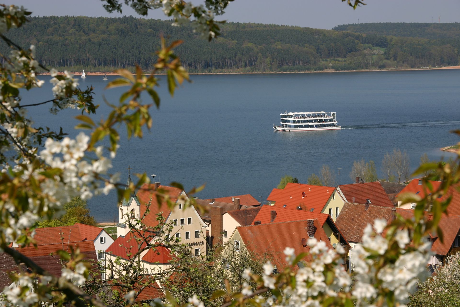 Schiff auf dem Brombachsee, im Vordergrund Blüten