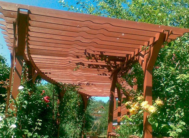 Holzpergola mit an den Seiten emporrankenden Pflanzen und roten und gelben Blüten.