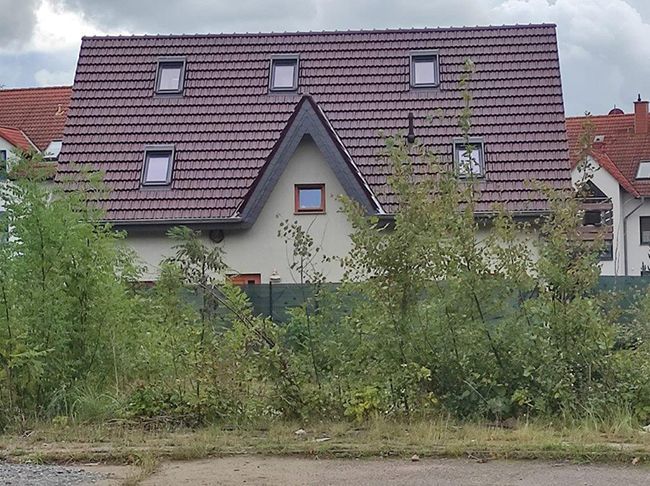 Ein hellbraunes Haus mit bordeauxrotem Dach, Dachgauben und dreieckigem Giebel. Grüne Büsche verdecken die Vorderseite.