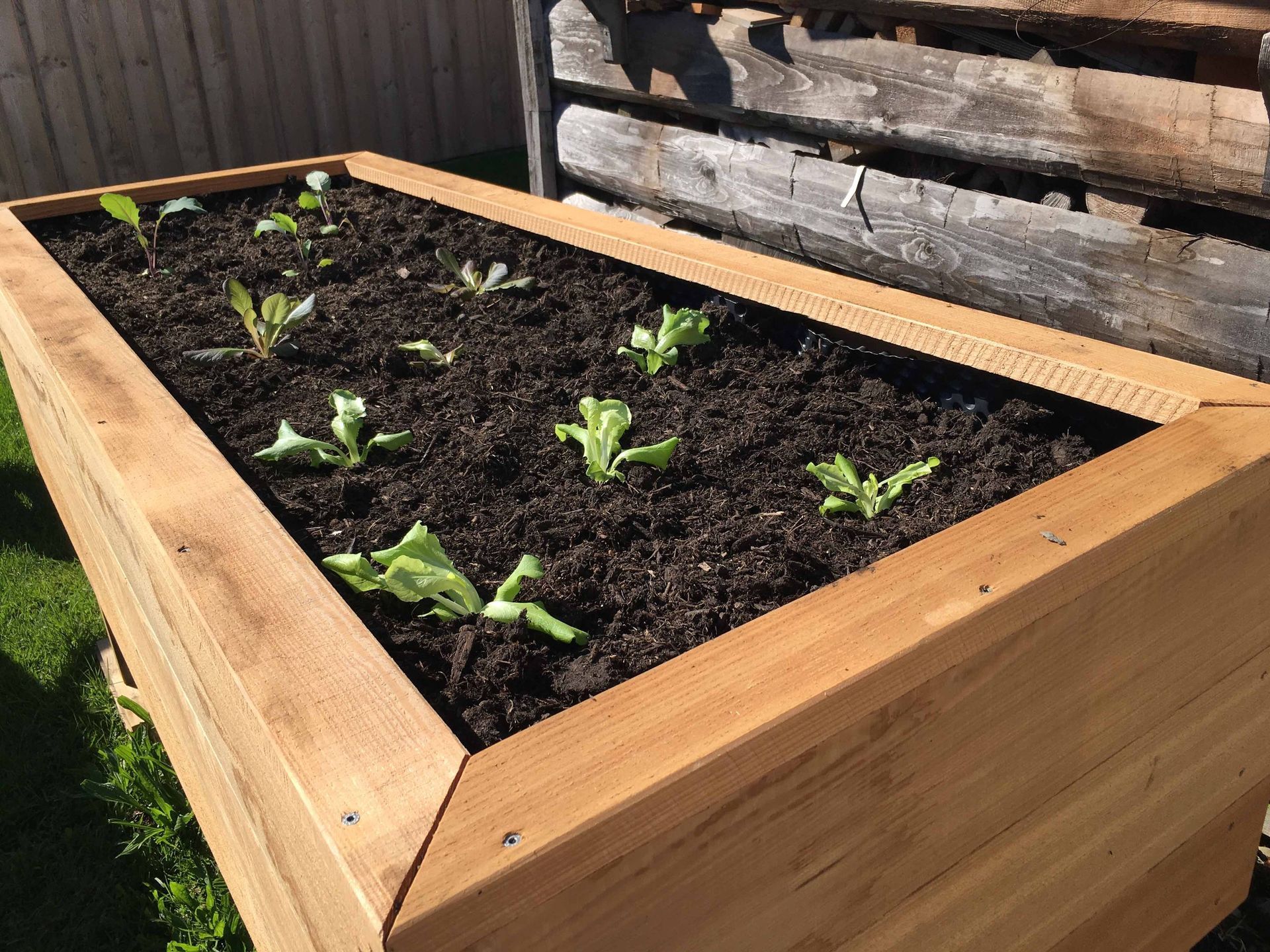 Pflanzenbeet Holz - Schreinerei Brönimann - Kesswil