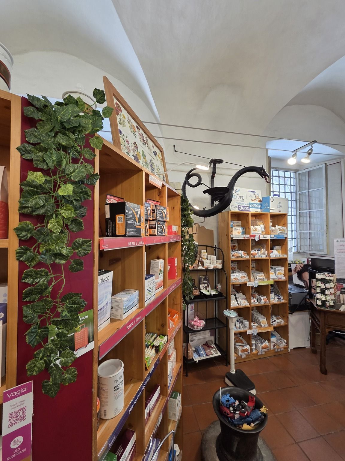 Interno della farmacia con scaffali pieni di prodotti confezionati, piante sospese e pavimento piastrellato.