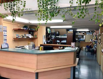 Un mostrador de recepción en una habitación grande con muchos estantes y plantas colgando del techo.