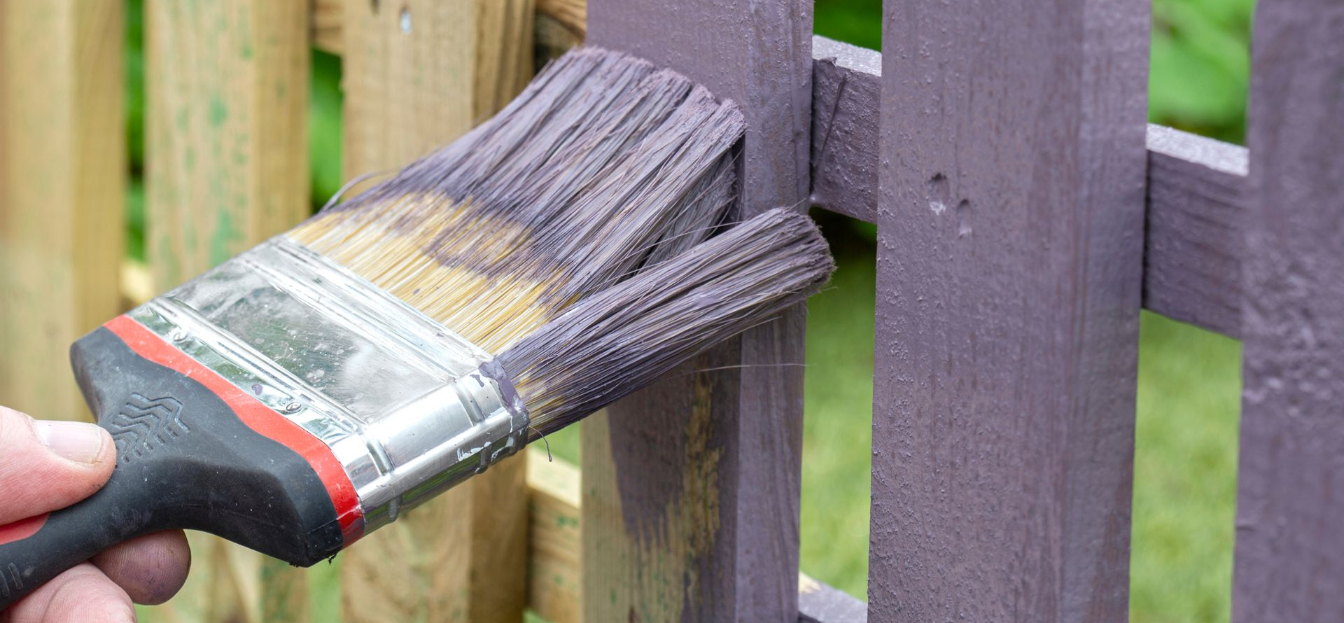 Une main peignant une clôture violette avec un pinceau.