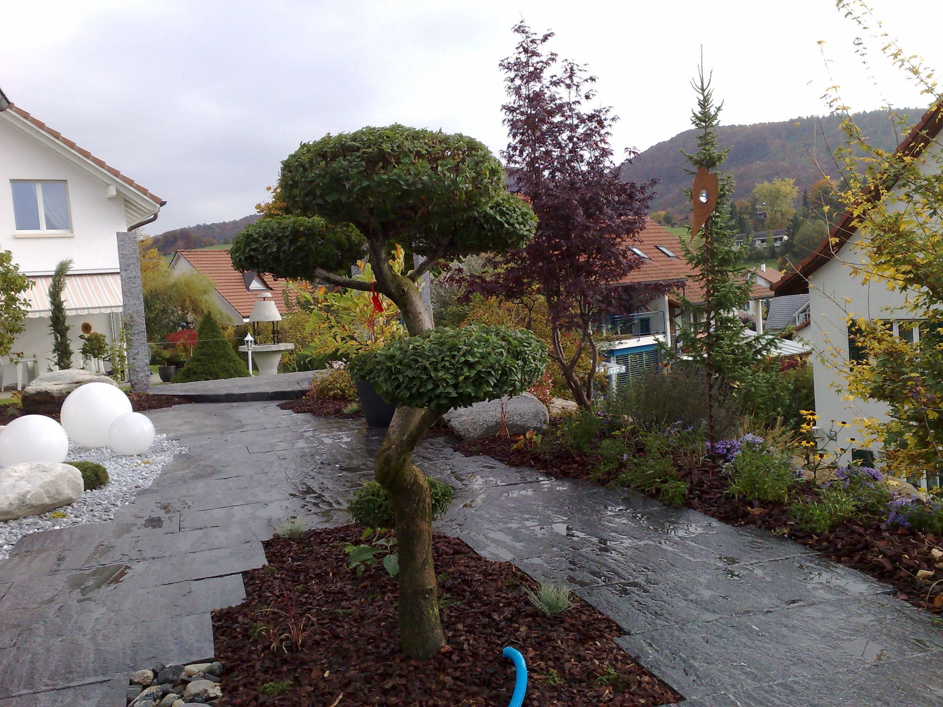 Spezieller Garten in Ormalingen, durch und geplant und gebaut. Foto von Gunzenhauser Gartenbau GmbH, Gelterkinden