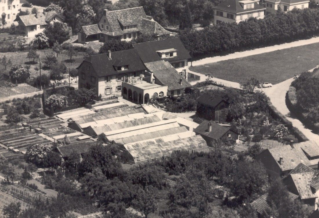 Luftbild Gunzenhauser Gartenbau in der 1950 er Jahren