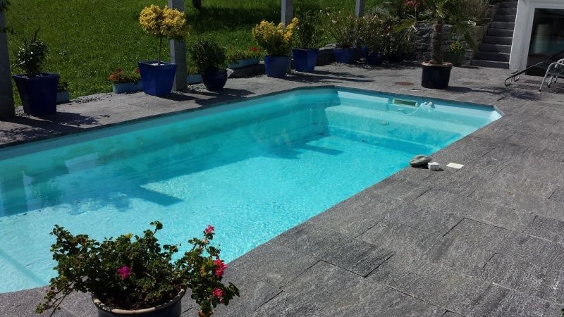 Ein grosser Swimmingpool, umgeben von Topfpflanzen und Blumen