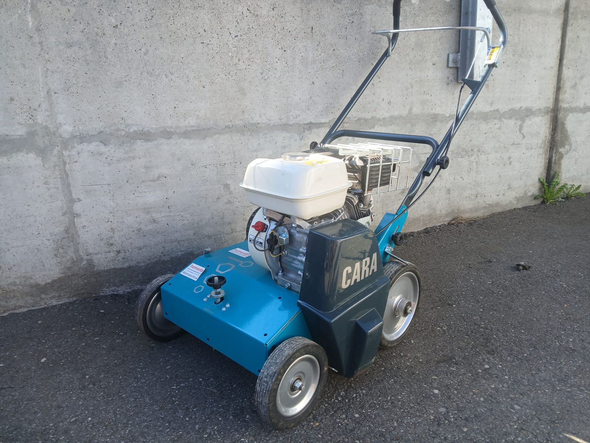 Verticutierer, Rasenpflege, Moos bekämpfen