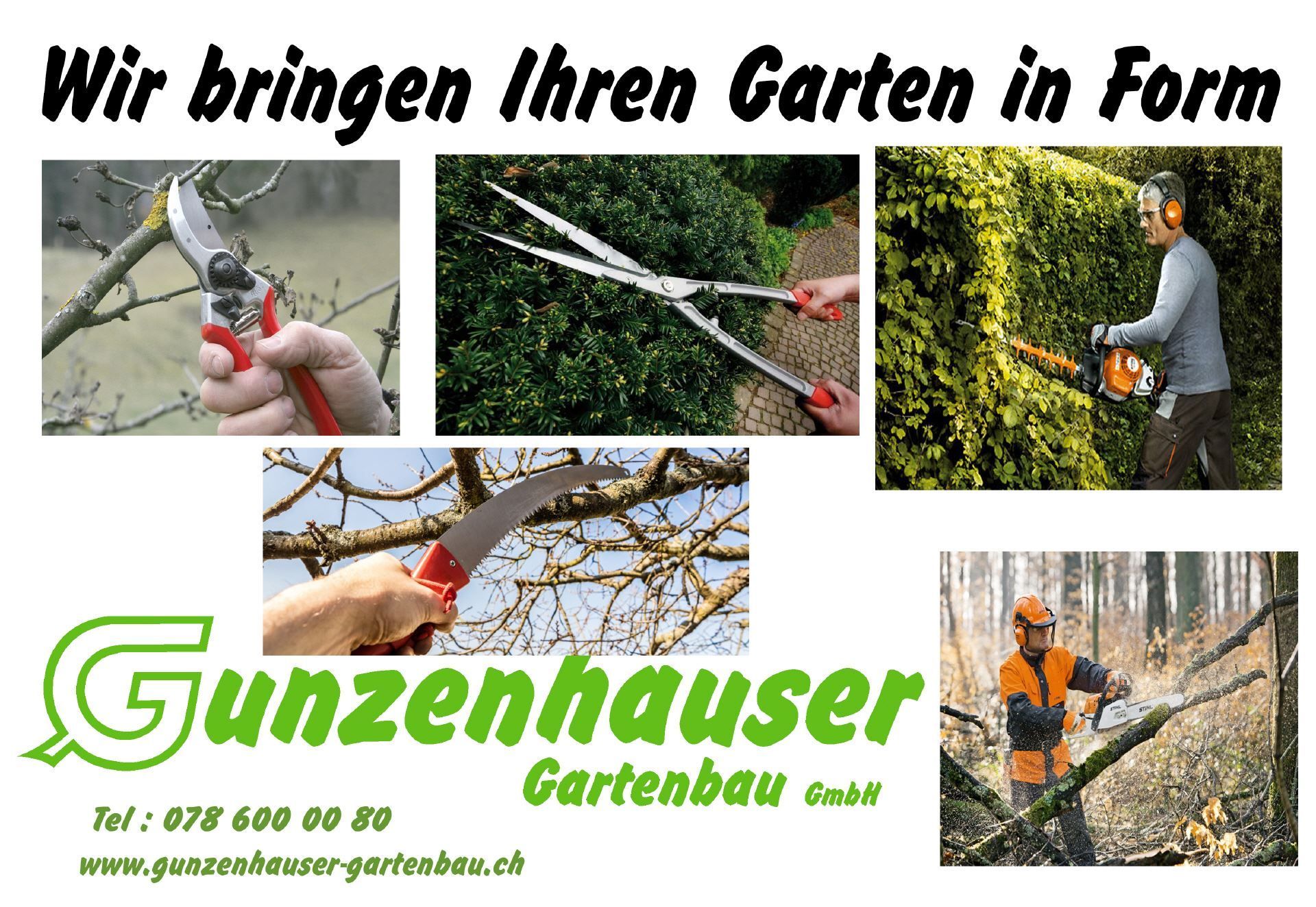 Gunzenhauser Flyer