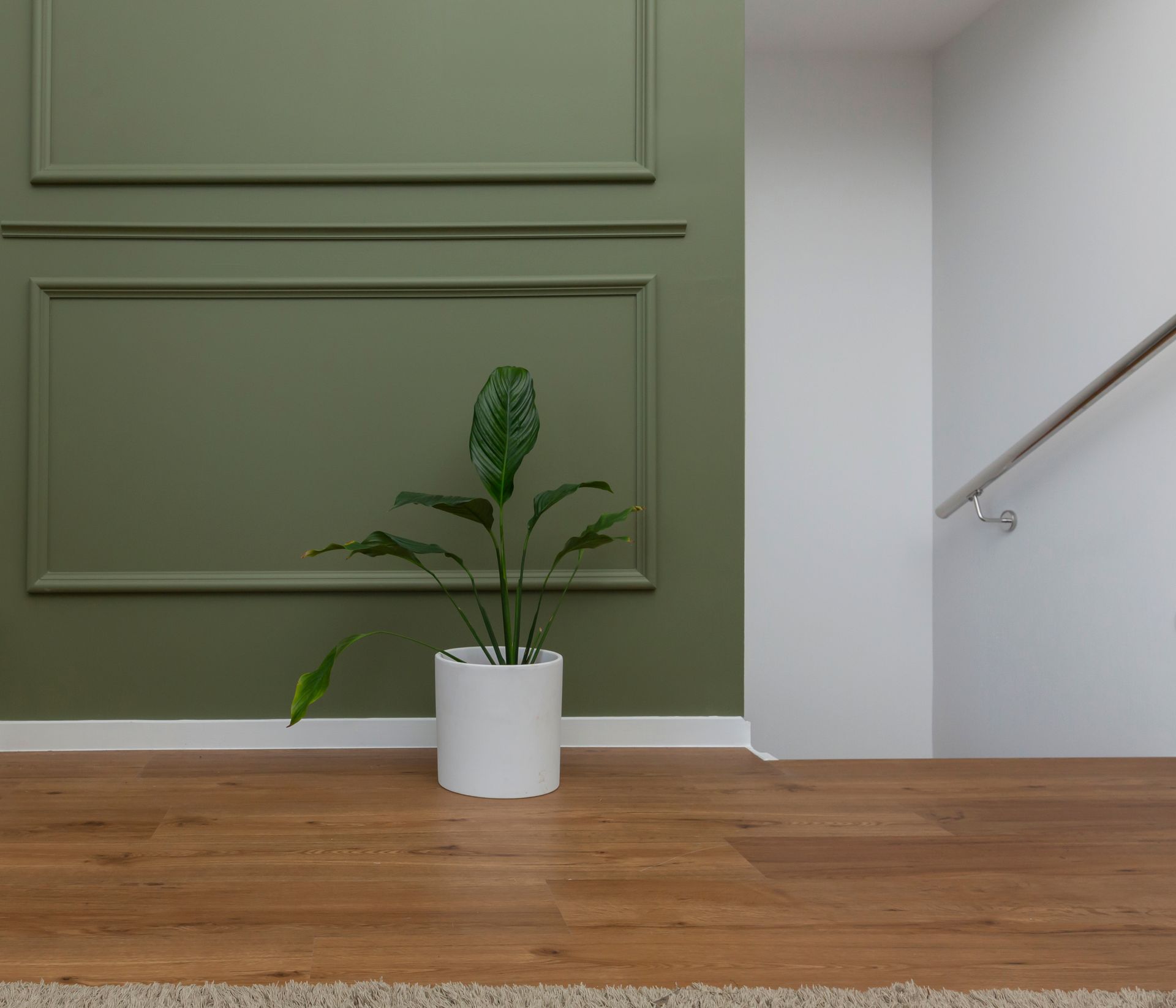 Une plante verte en pot est posée sur un parquet, contre un mur vert sauge orné de moulures.