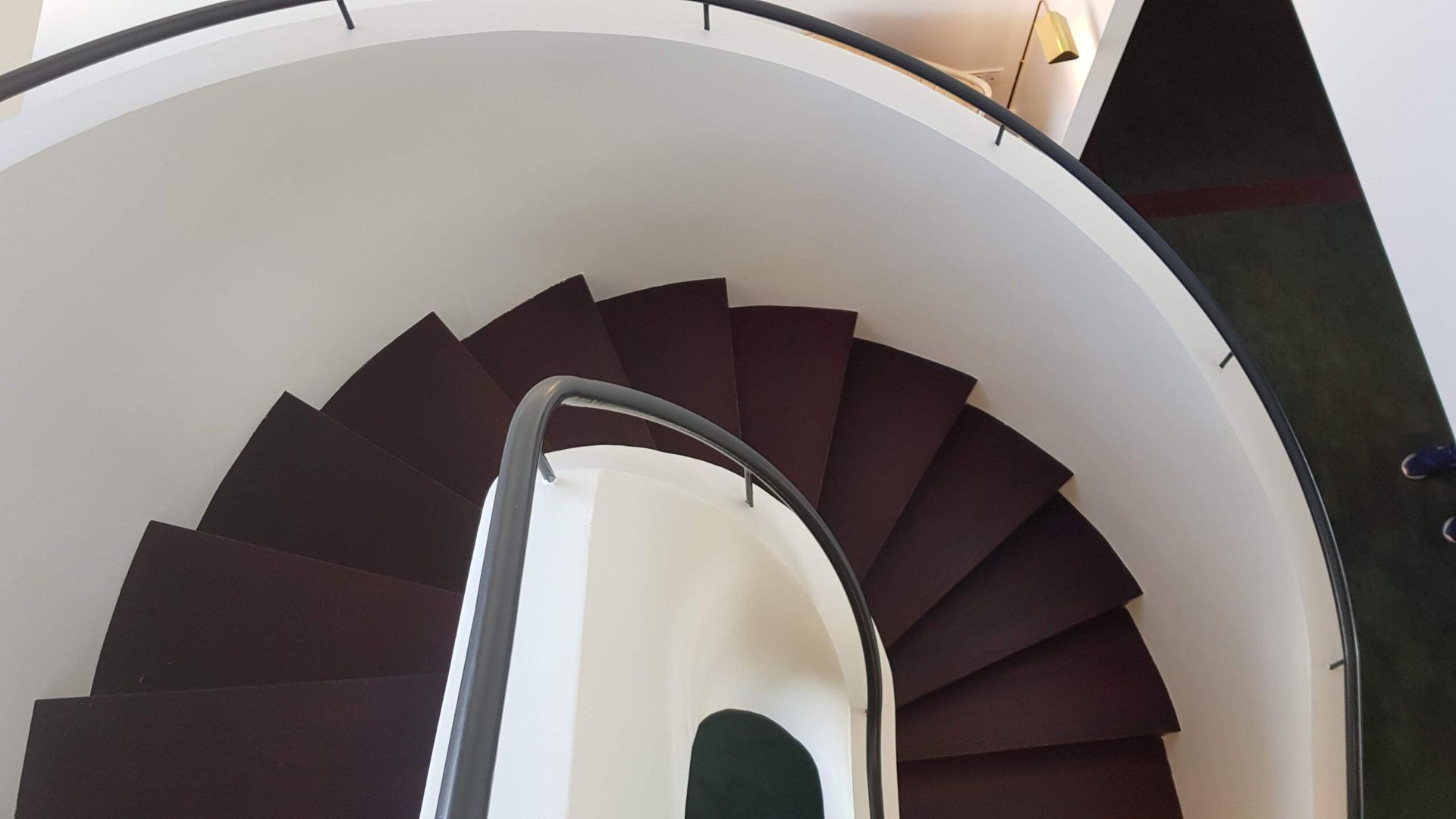 Vue en plongée d'un escalier en colimaçon blanc incurvé, avec des marches recouvertes d'une moquette marron foncé.