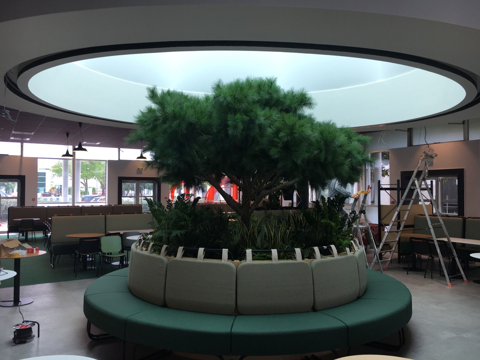Un salon circulaire verdoyant avec un arbre d'intérieur central sous une verrière, dans une pièce avec des tables.