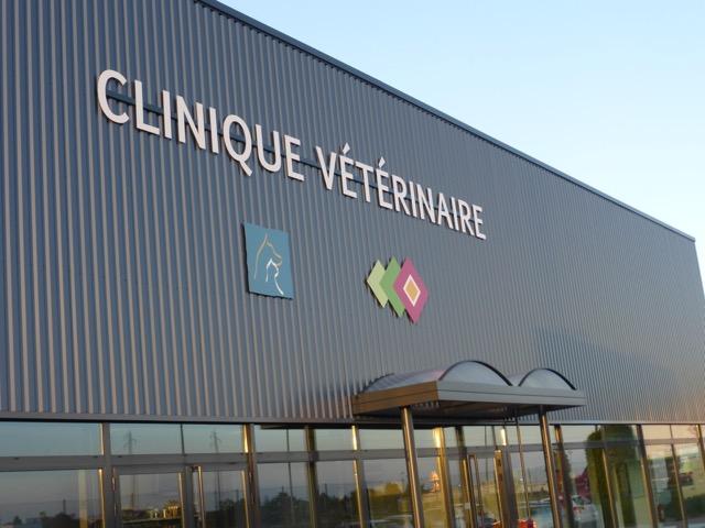 Clinique Veterinaire Des Ducs De Bourgogne Avis