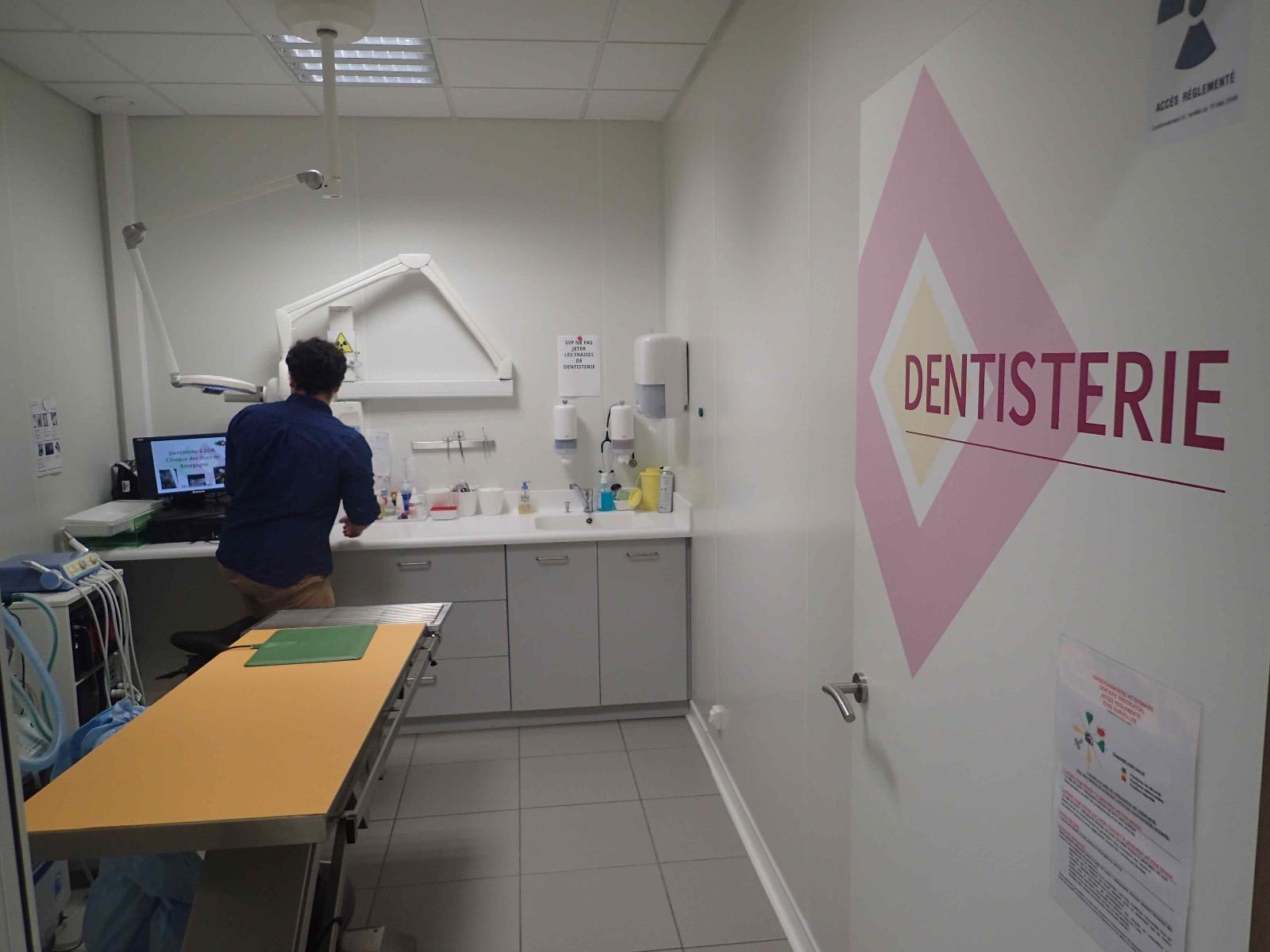 Clinique Vétérinaire Des Ducs De Bourgogne Avis