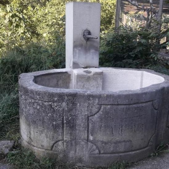 vorher - Muschelkalkbrunnen vom Jahre 1619!