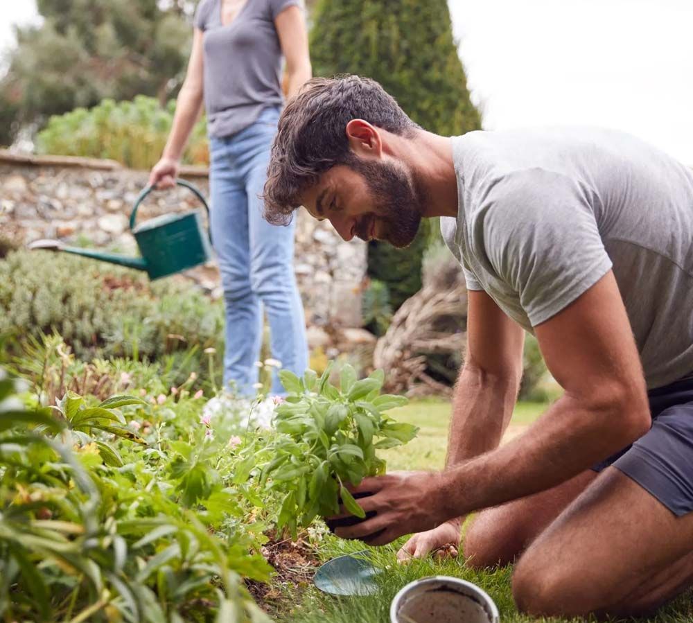 Dos personas plantando vegetación en un jardín; una está arrodillada con una camisa gris y la otra está de pie con una regadera verde.