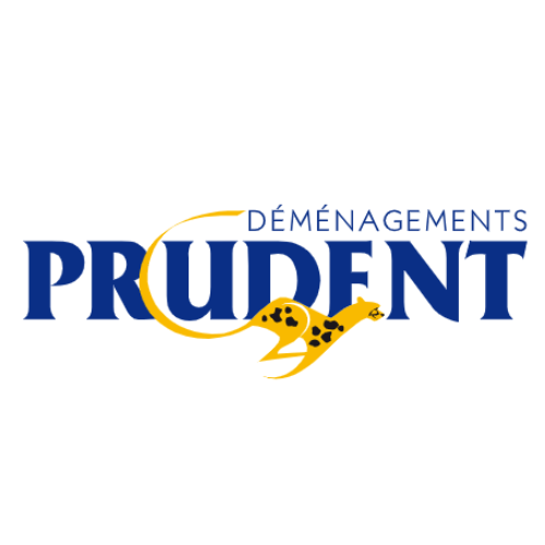 DP LOGO FORMAT PJ.png