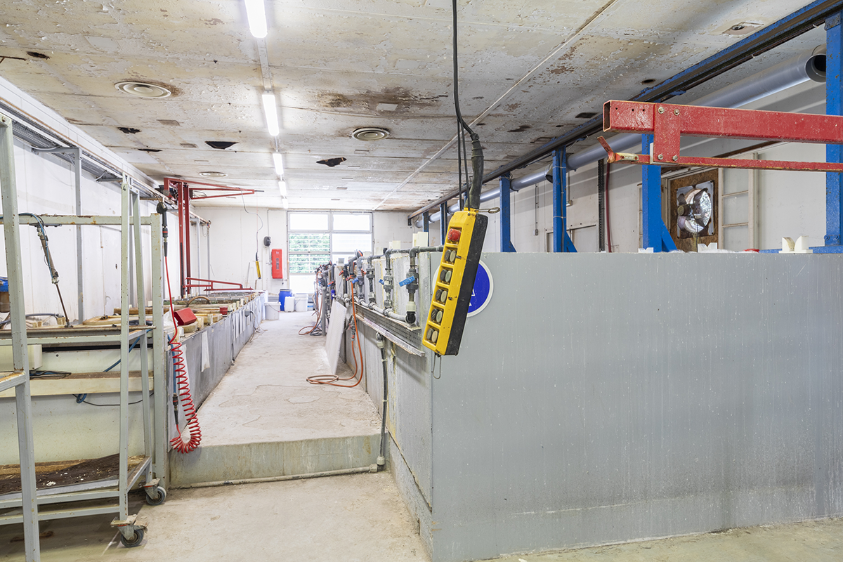 L'intérieur des locaux de TG6