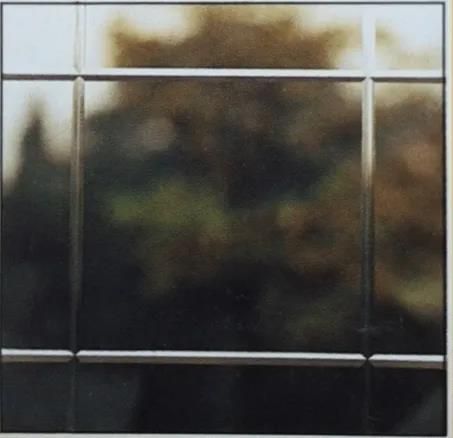 Ein Bild eines Fensters mit einem Baum im Hintergrund.