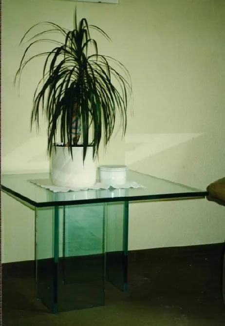 Ein Glastisch mit einer Topfpflanze darauf