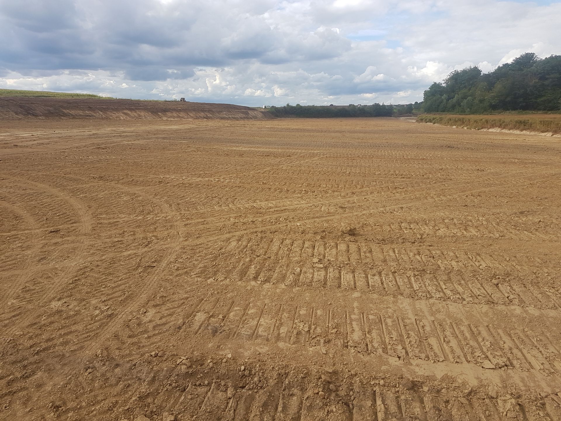 Champ récemment labouré sous un ciel nuageux avec des arbres à l'horizon.