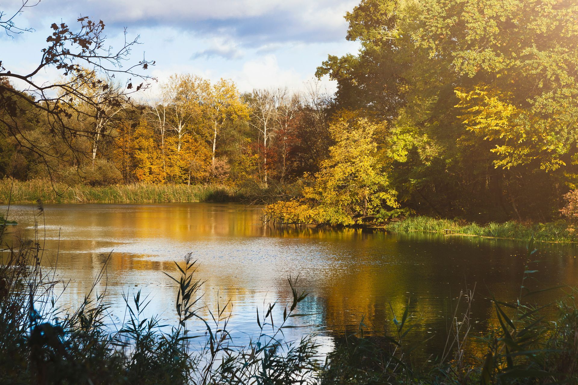 Lac d'automne baigné de soleil, avec des arbres dorés et leurs reflets sur l'eau calme.