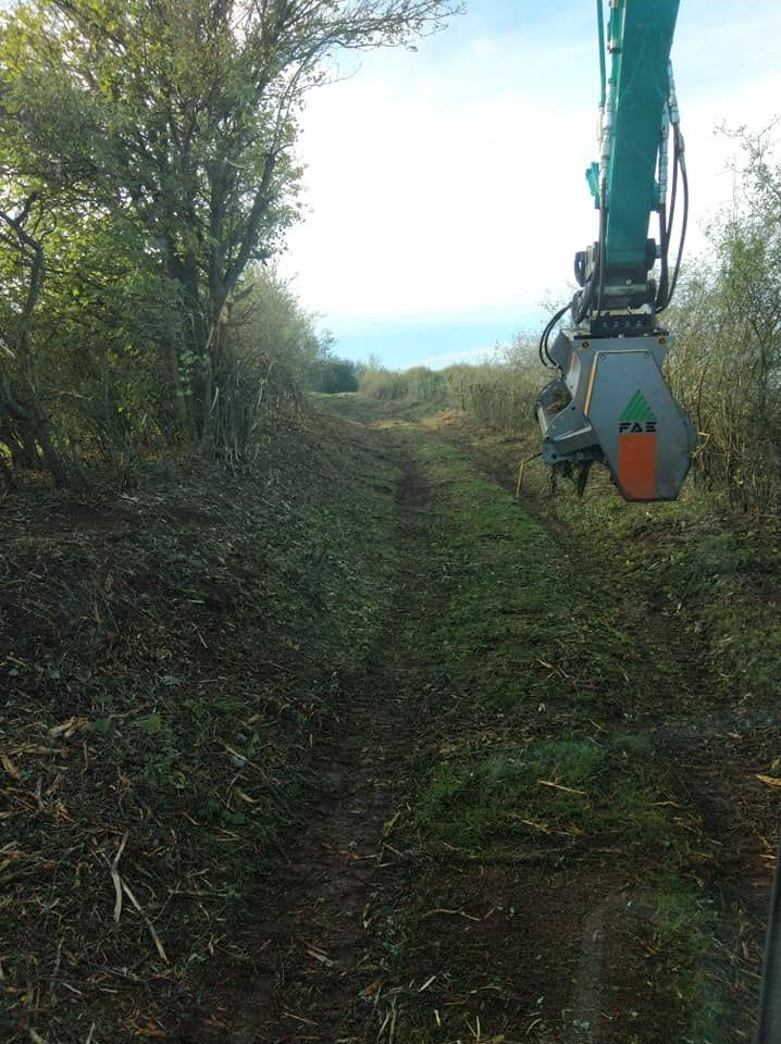 Le bras d'une excavatrice se trouve sur un étroit chemin boueux entre les arbres, avec une vue lointaine sur la mer.