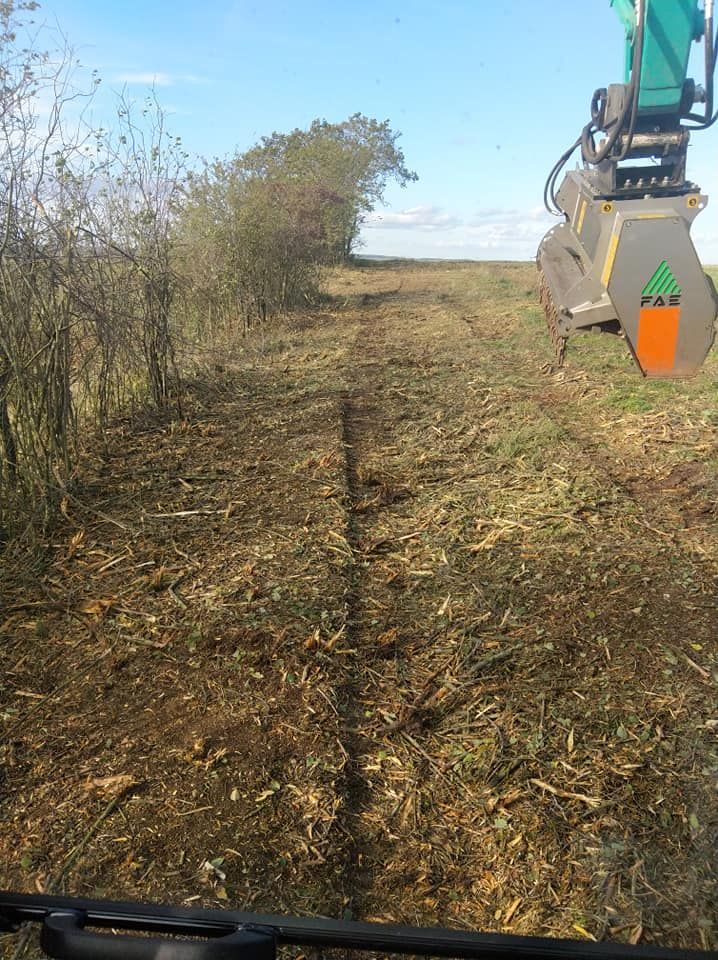 Une excavatrice déblayait les broussailles le long d'un chemin de terre dans un champ herbeux sous un ciel dégagé.