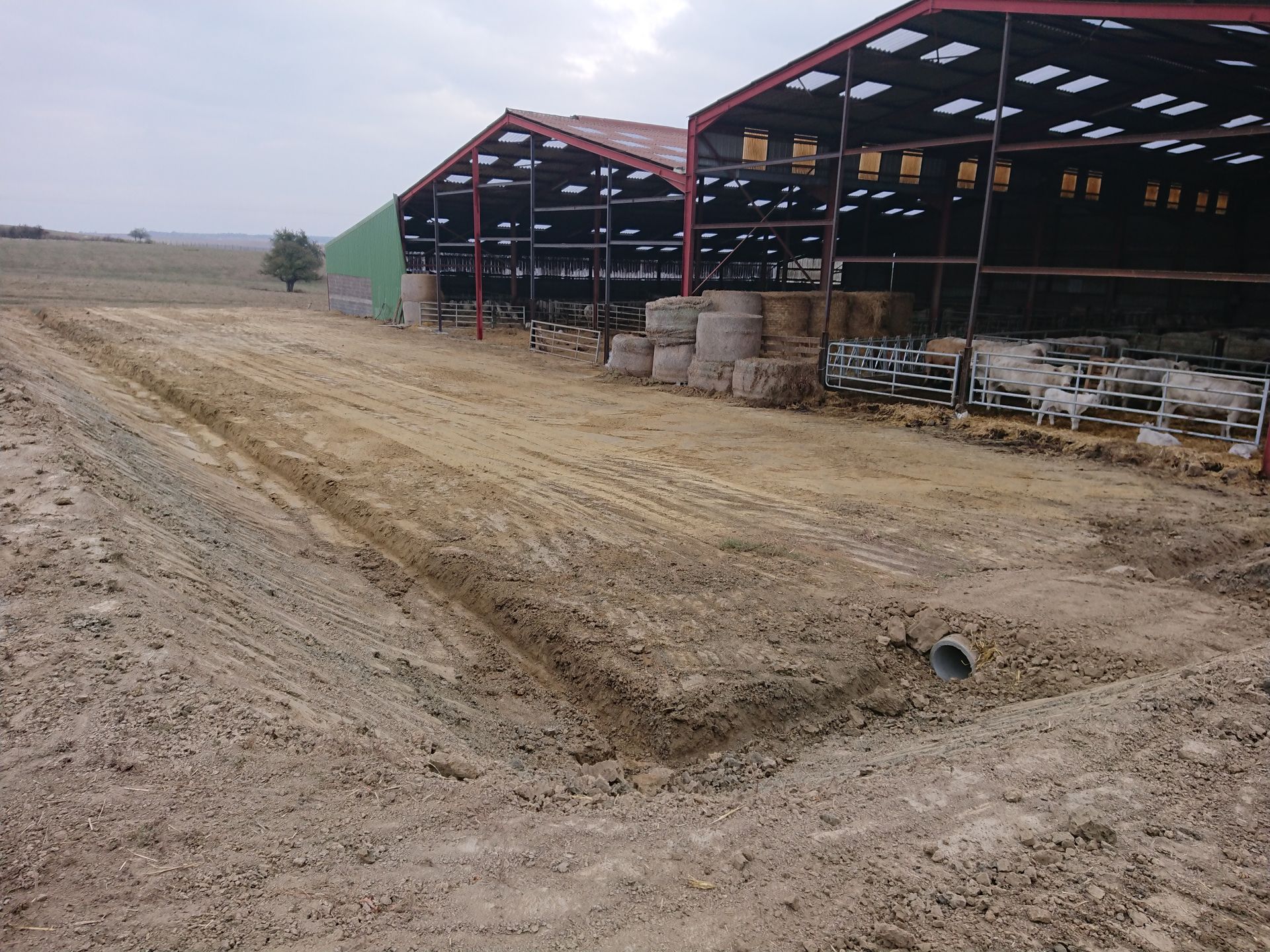 Hangar agricole ouvert sur les côtés, à côté d'un terrain boueux sous un ciel couvert.