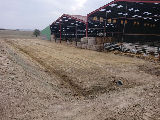 Cour de ferme rurale avec des granges ouvertes sur les côtés, des bottes de foin empilées et un terrain boueux sous un ciel nuageux.