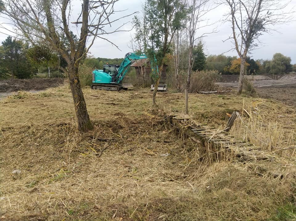 Une excavatrice turquoise débroussaille une zone boisée clairsemée.