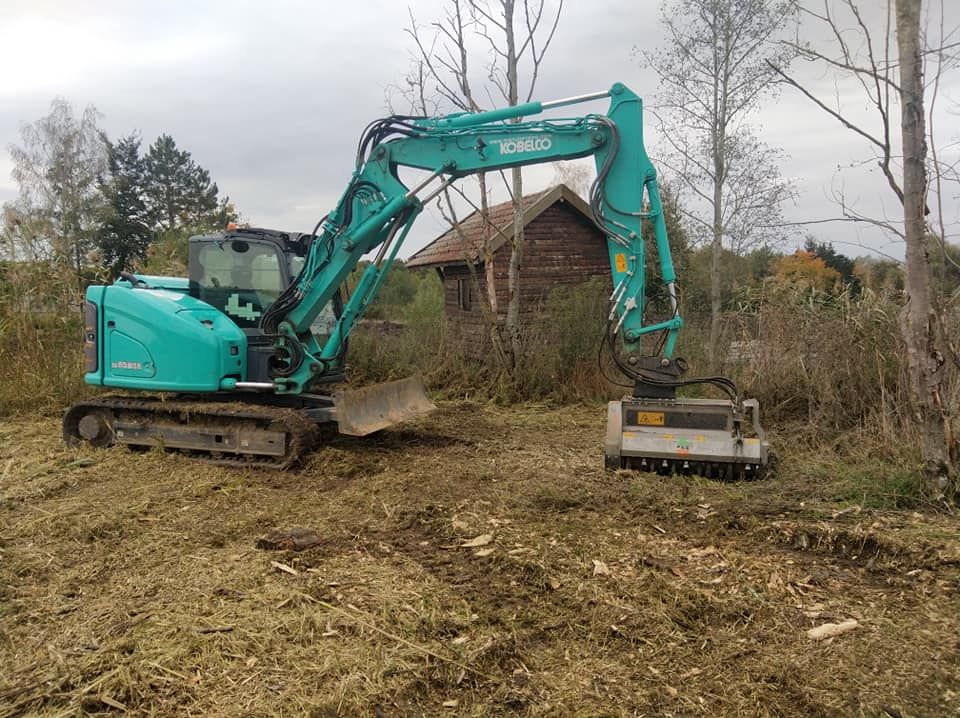 Une pelleteuse turquoise débroussaille une zone boisée près d'un petit hangar.